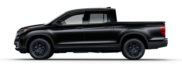 Black Edition
